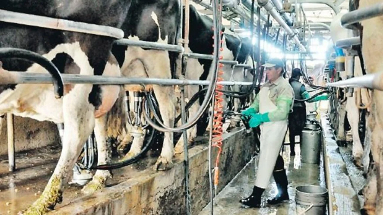 Agricultura ya asistió a 4500 tamberos afectados por la sequía