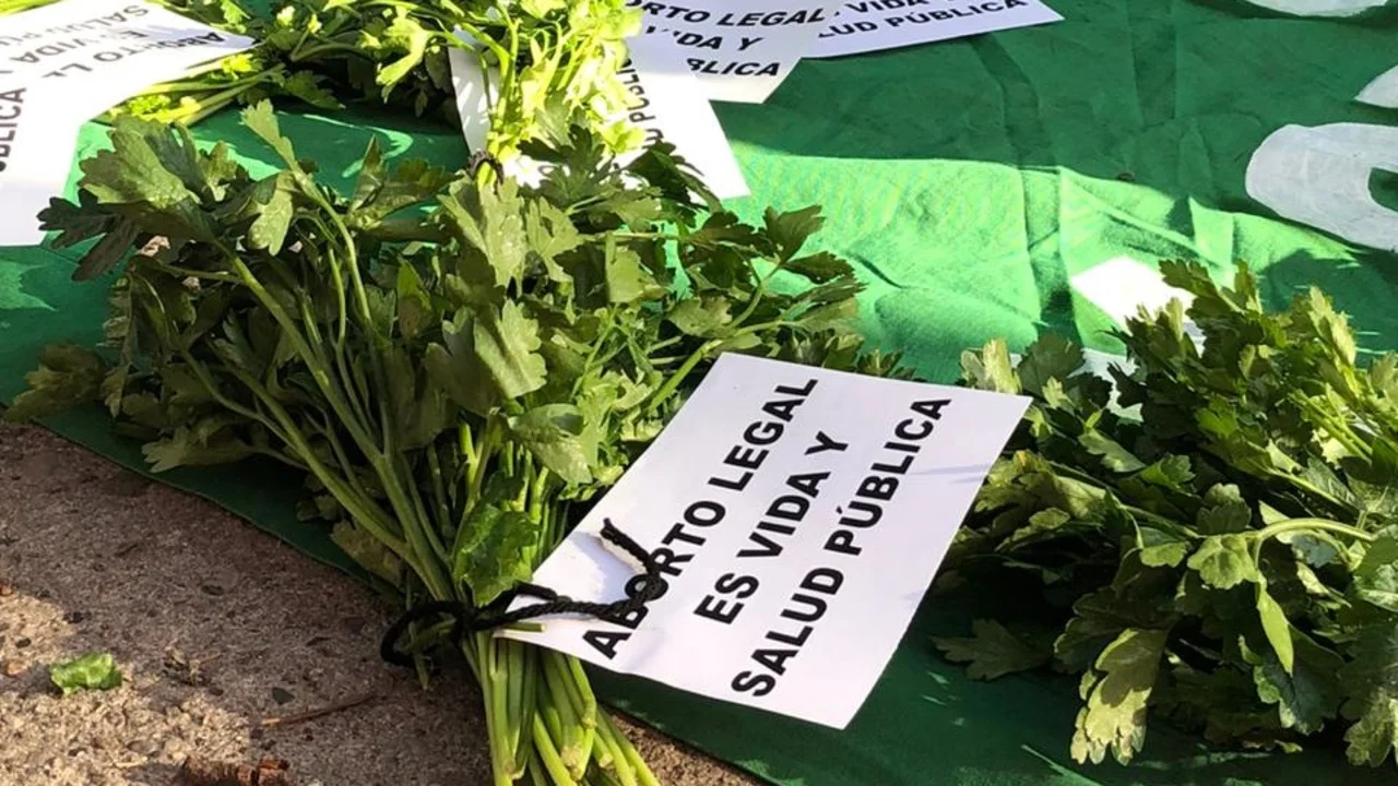 muerte por aborto clandestino 