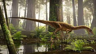 Descubrieron en Brasil al antepasado del Tyrannosaurus Rex Descubrieron en Brasil al antepasado del Tyrannosaurus Rex