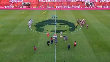 El bizarro homenaje a Diego Maradona con palomas que se hizo viral