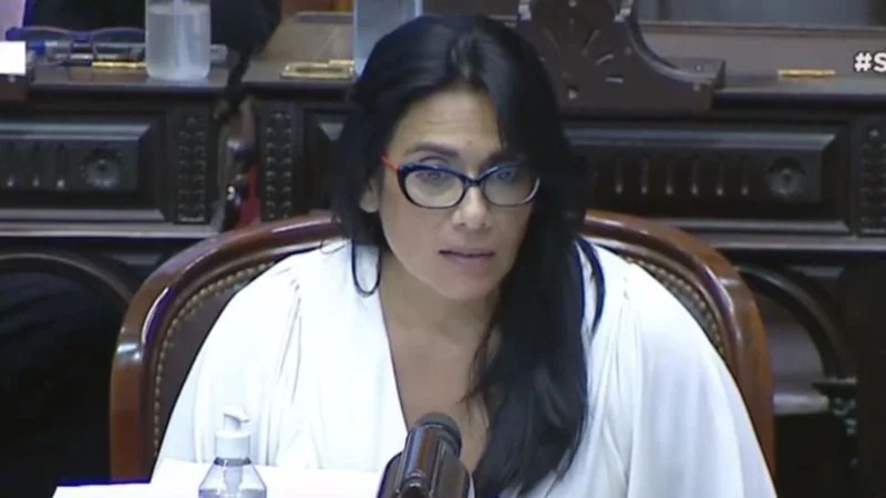 Aborto legal: la diputada de Misiones que votó en contra en 2018 y ahora lo hará a favor