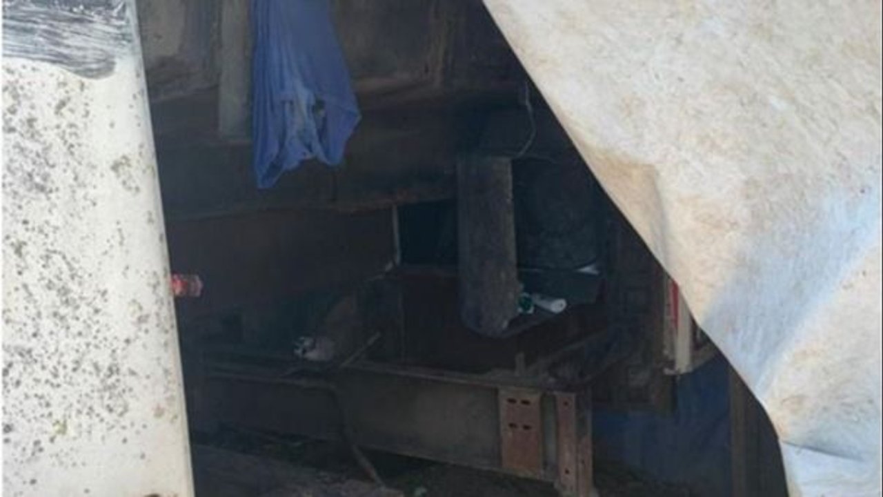 Rescatan 30 trabajadores en condiciones de servidumbre y trata laboral