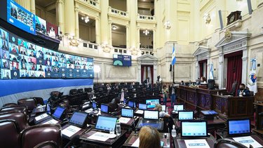 Aborto legal: quiénes son los senadores indecisos que cambiaron su voto a favor 
