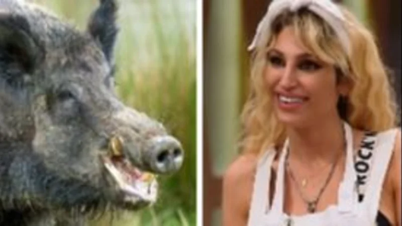 Masterchef Celebrity: Vicky Xipolitakis cocinó un jabalí pensando que era un colibrí