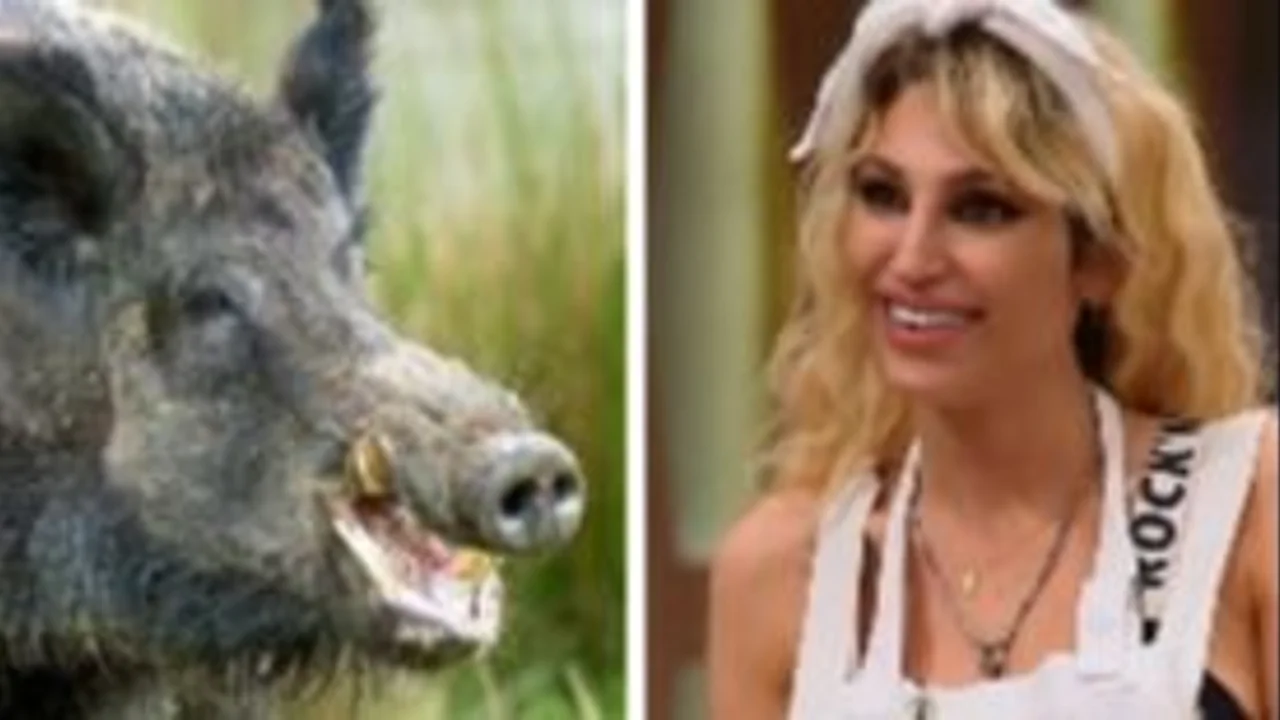 Masterchef Celebrity: Vicky Xipolitakis cocinó un jabalí pensando que era un colibrí
