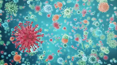 Coronavirus Coronavirus