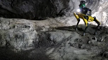 La NASA propone usar perros robóticos para explorar Marte