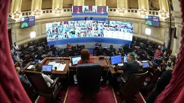 Los insólitos argumentos de los senadores "pro vida" para oponerse al aborto