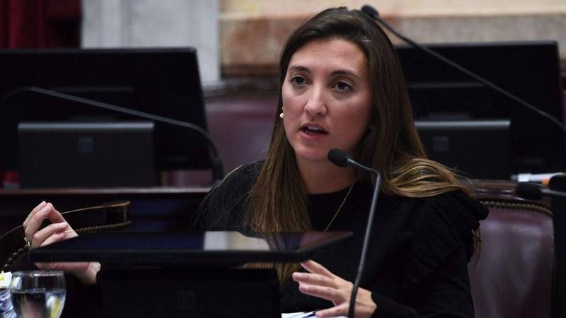 Aborto legal: una senadora contó que fue amenazada de muerte por militantes antiderechos durante su embarazo