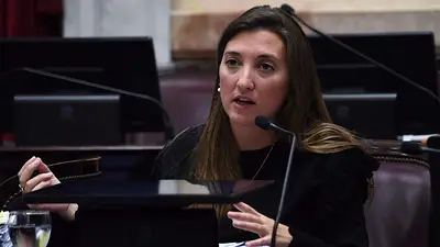 Aborto legal: una senadora contó que fue amenazada de muerte por militantes antiderechos durante su embarazo Aborto legal: una senadora contó que fue amenazada de muerte por militantes antiderechos durante su embarazo