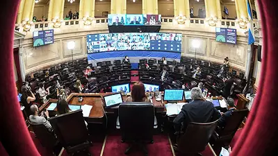 Aborto legal: marcada tendencia verde en la Cámara de Senadores Aborto legal: marcada tendencia verde en la Cámara de Senadores