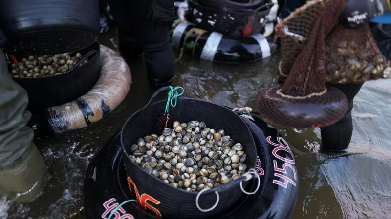 Las pescadoras tradicionales de Galicia pasan la antorcha a una nueva generación