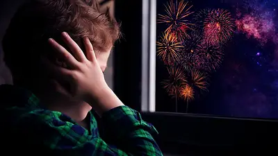 Campaña para unas Fiestas con "fuegos artificiales amigables": en qué consiste el proyecto Campaña para unas Fiestas con "fuegos artificiales amigables": en qué consiste el proyecto