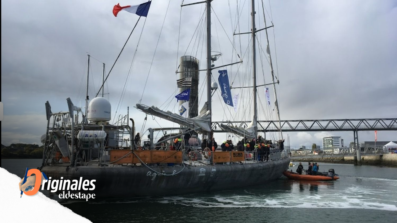 La misión TARA puso proa al Mar Argentino para estudiar una misteriosa floración de algas microscópicas