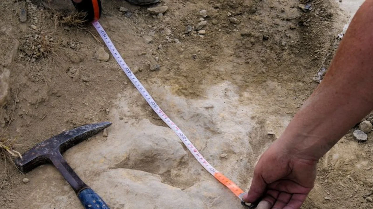 Huellas encontradas en España muestran que los dinosaurios carnívoros eran rápidos y furiosos