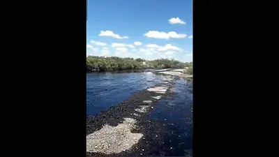 Río Negro: contienen gran derrame de petróleo en zona productiva y evalúan daños Río Negro: contienen gran derrame de petróleo en zona productiva y evalúan daños
