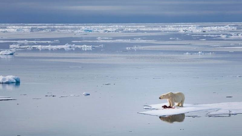 La ONU confirma récord de calor en el Ártico y "enciende las alarmas" sobre el cambio climático