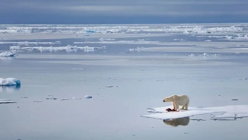 La ONU confirma récord de calor en el Ártico y "enciende las alarmas" sobre el cambio climático