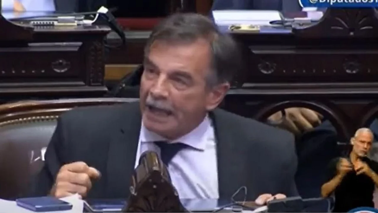 Diputado radical se olvidó el micrófono abierto: "Pedazo de pelotudo"
