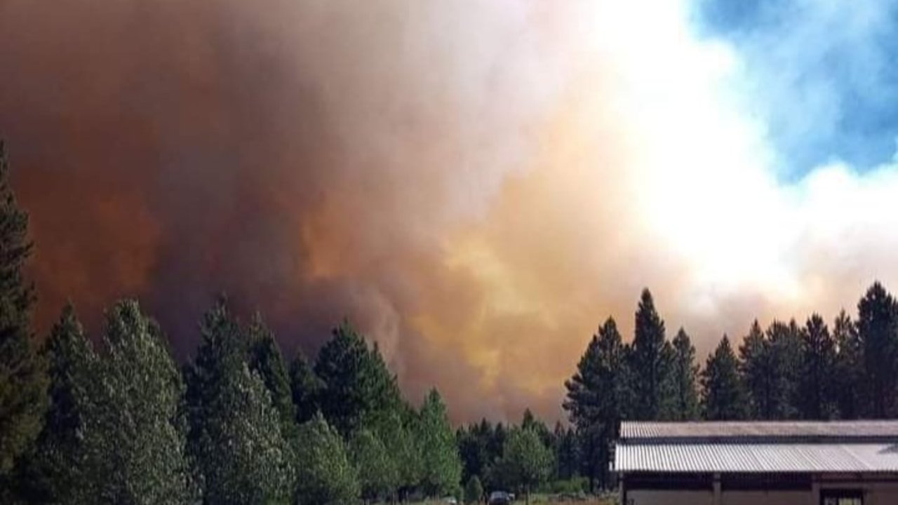 Combaten incendio forestal descontrolado en Neuquén