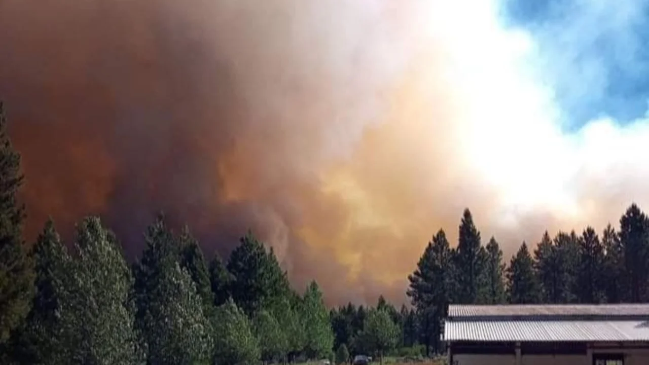 Combaten incendio forestal descontrolado en Neuquén