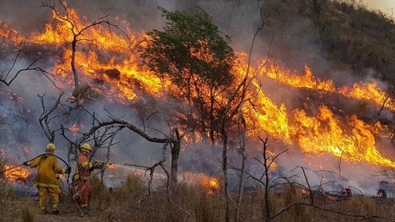 Incendios forestales en la Patagonia: siguen las tareas y Nación envía más recursos para combatirlos