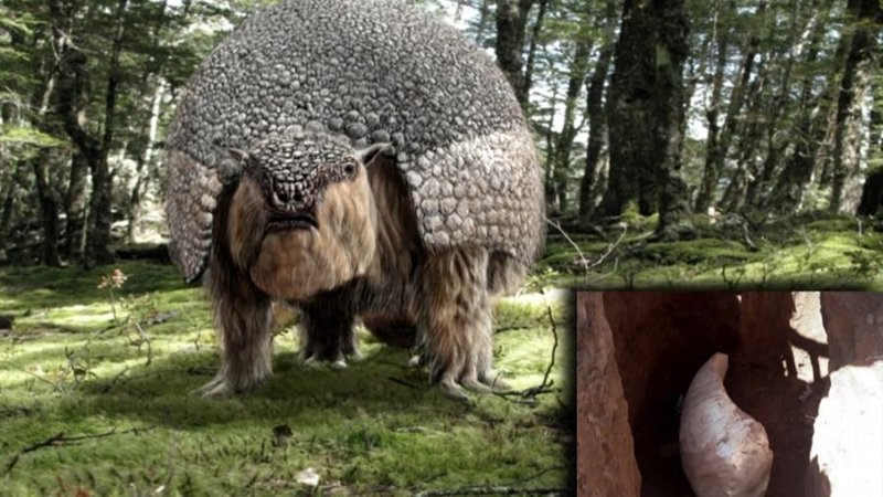 Gliptodonte