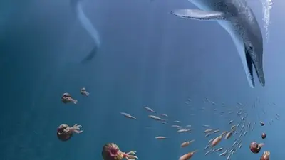 ictiosaurio gigante ictiosaurio gigante