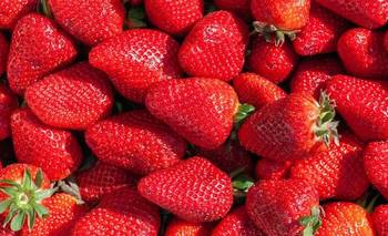 Temporada de frutillas: cómo guardarlas para que no se pudran rápido | Cocina