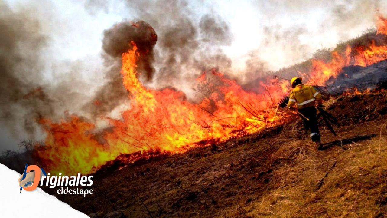 Incendios forestales azotan a la provincia en medio de una sequía histórica