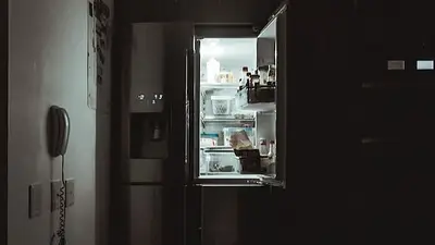 Qué diferencias hay entre frigobar, refrigerador y congeladora Qué diferencias hay entre frigobar, refrigerador y congeladora
