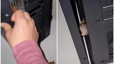 Un joven abrió su computadora y no pudo creer lo que encontró Un joven abrió su computadora y no pudo creer lo que encontró