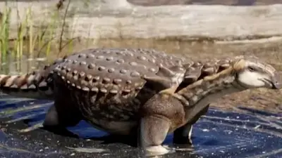 Nuevo dinosaurio argentino: identificaron una especie única en Río Negro Nuevo dinosaurio argentino: identificaron una especie única en Río Negro