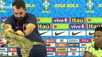 Brasil Mundial Qatar 2022 Brasil Mundial Qatar 2022