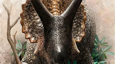 Un estudio demuestra que los dinosaurios fueron "abatidos en su apogeo" por un asteroide Un estudio demuestra que los dinosaurios fueron "abatidos en su apogeo" por un asteroide
