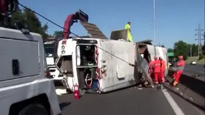 Un camión con caballos volcó en la Panamericana: uno murió y cuatro sobrevivieron Un camión con caballos volcó en la Panamericana: uno murió y cuatro sobrevivieron