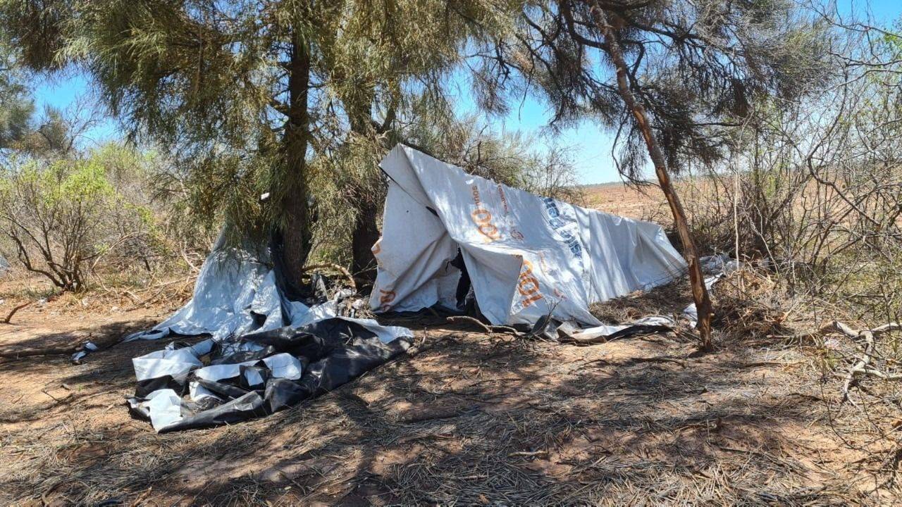Encuentran trata laboral en el campo: salarios miserables y familias sometidas al patrón