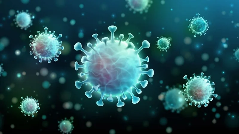 Coronavirus: los nuevos contagios son por la variante BQ.1 de Ómicron