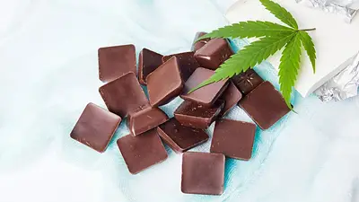 ANMAT prohibió la venta de chocolates en forma de cogollos de marihuana ANMAT prohibió la venta de chocolates en forma de cogollos de marihuana