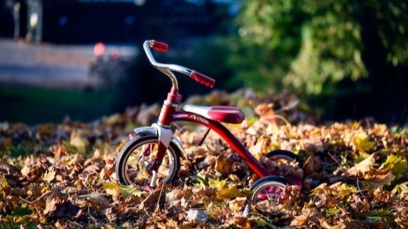 ¿Por qué llevar a tu hijo a dar un paseo en auto eléctrico?