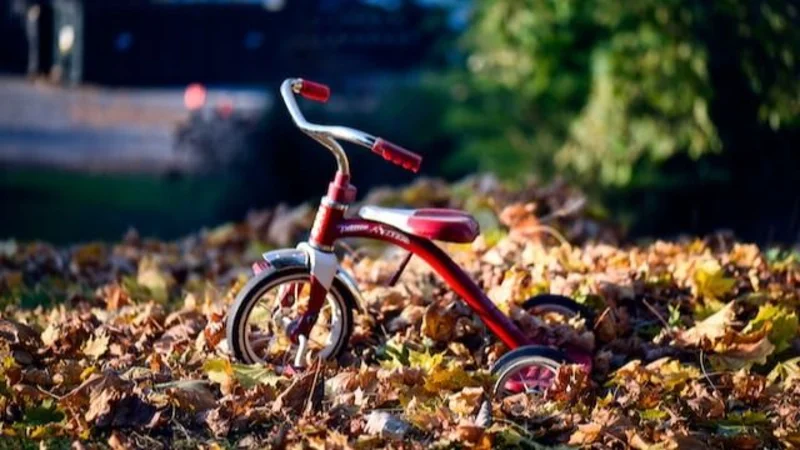 ¿Por qué llevar a tu hijo a dar un paseo en auto eléctrico?
