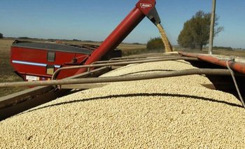 Suba de retenciones a la soja: crece la tensión entre campo y Gobierno | Campo