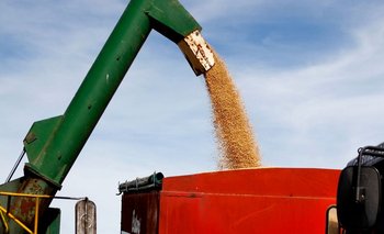 Los exportadores de cereales liquidaron u$s 4212 millones en mayo | Campo