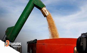 Efecto sequía: la producción de soja cayó un 24% en enero | Soja