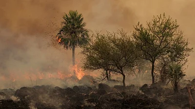 Incendios Incendios