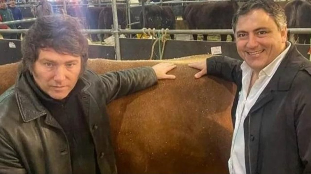 Polémicos dichos de un senador libertario: Paoltroni comparó el triunfo de Milei con una violación