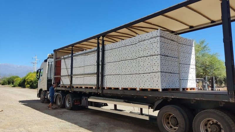 Crecen las exportaciones: la provincia argentina que busca dejar huella en el mercado internacional