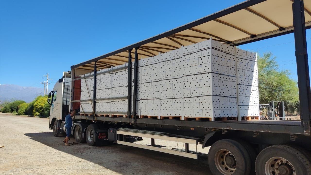Crecen las exportaciones: la provincia argentina que busca dejar huella en el mercado internacional