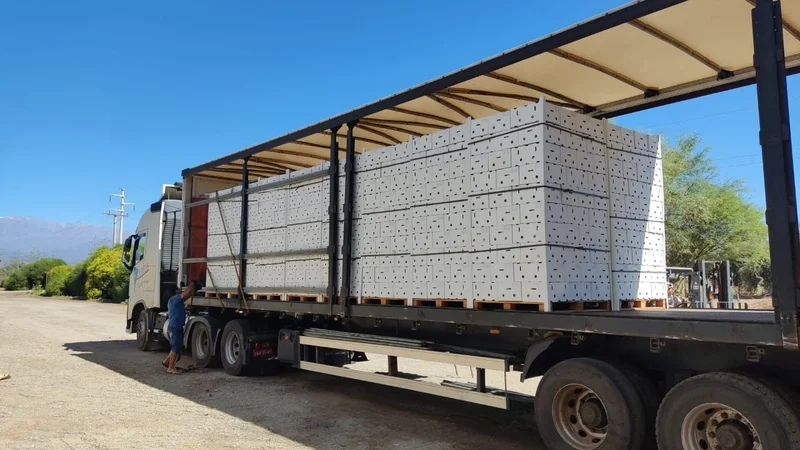 Crecen las exportaciones: la provincia argentina que busca dejar huella en el mercado internacional