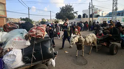 Más del 80% de la población de la Franja de Gaza tuvo que abandonar su casa por los ataques de Israel Más del 80% de la población de la Franja de Gaza tuvo que abandonar su casa por los ataques de Israel